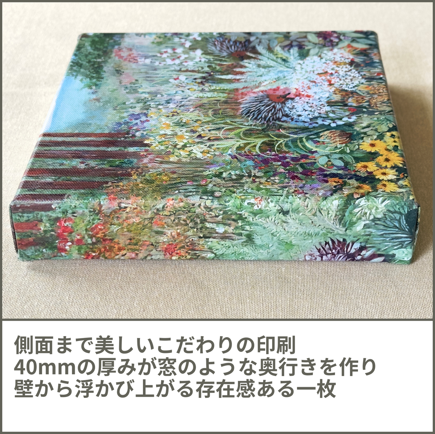 ハリモグラ (Echidnas)