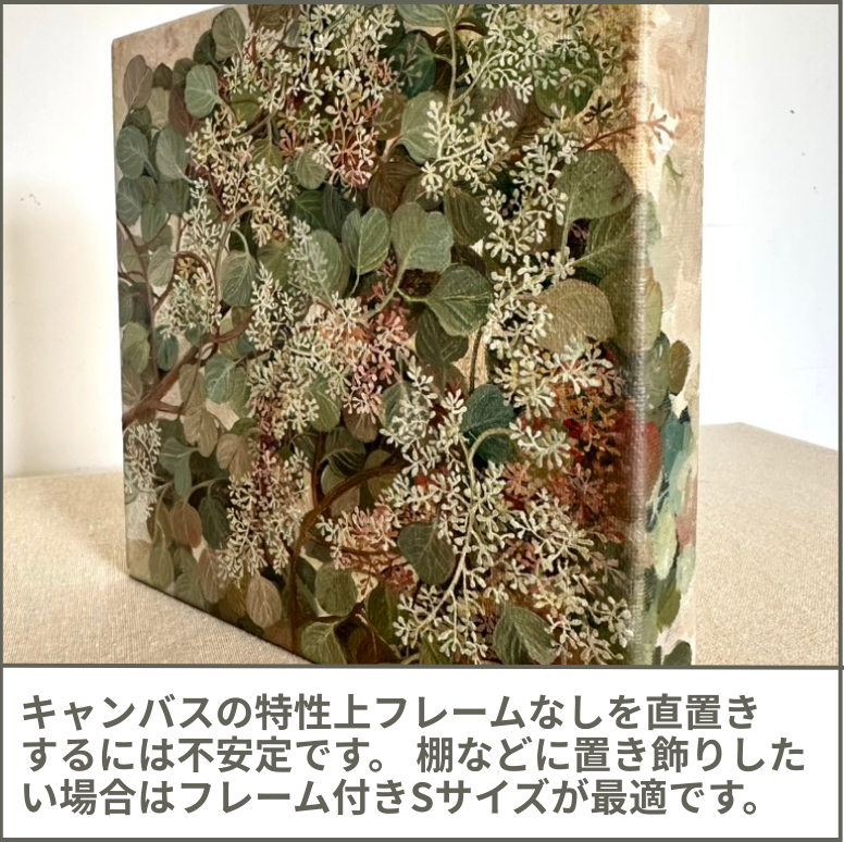 ユーカリ Eucalyptus