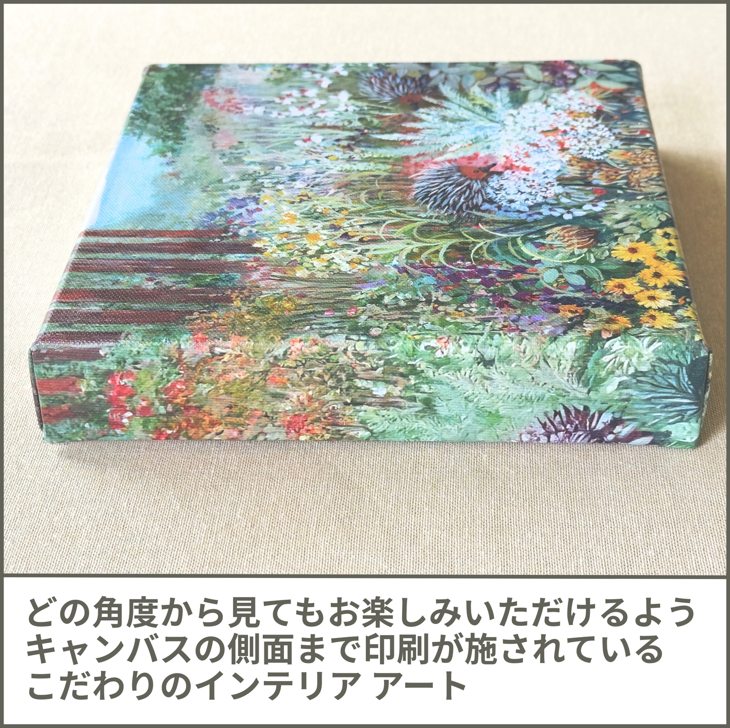 ハリモグラ (Echidnas)