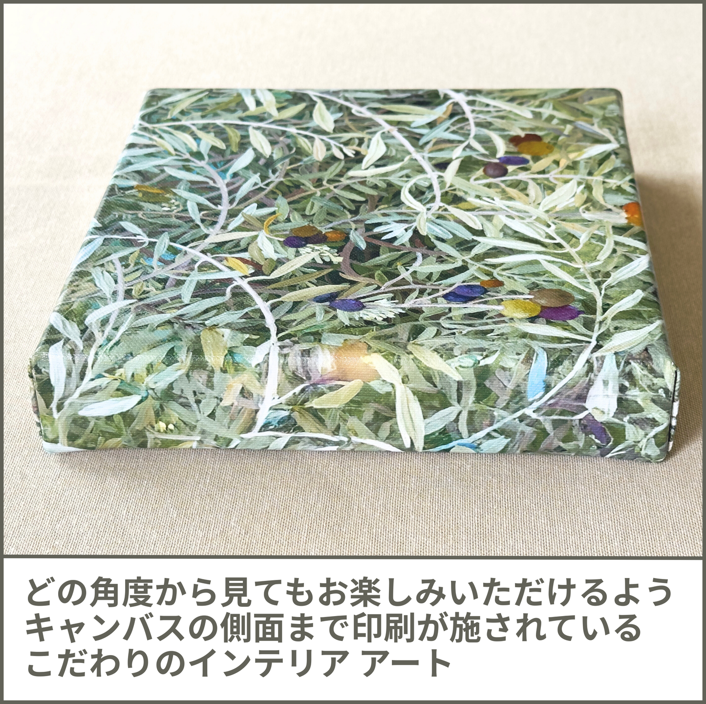 オリーブ (Olives)