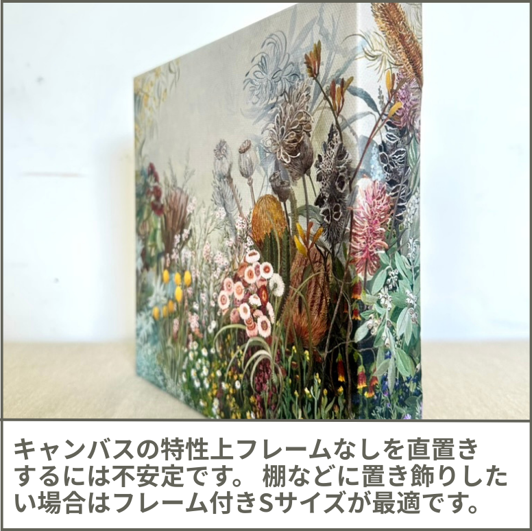 ネイティブフラワー Native flowers
