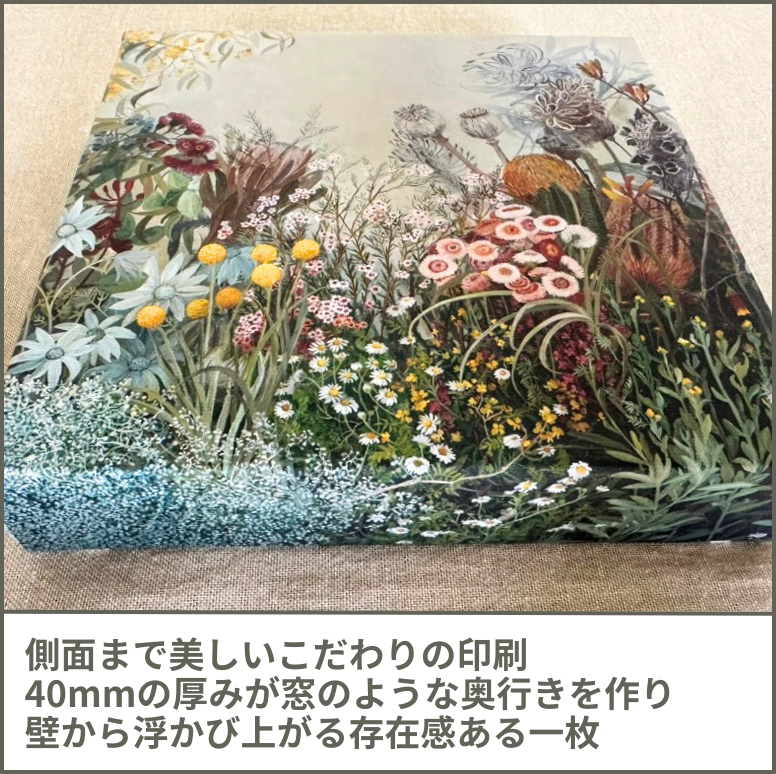 ネイティブフラワー Native flowers