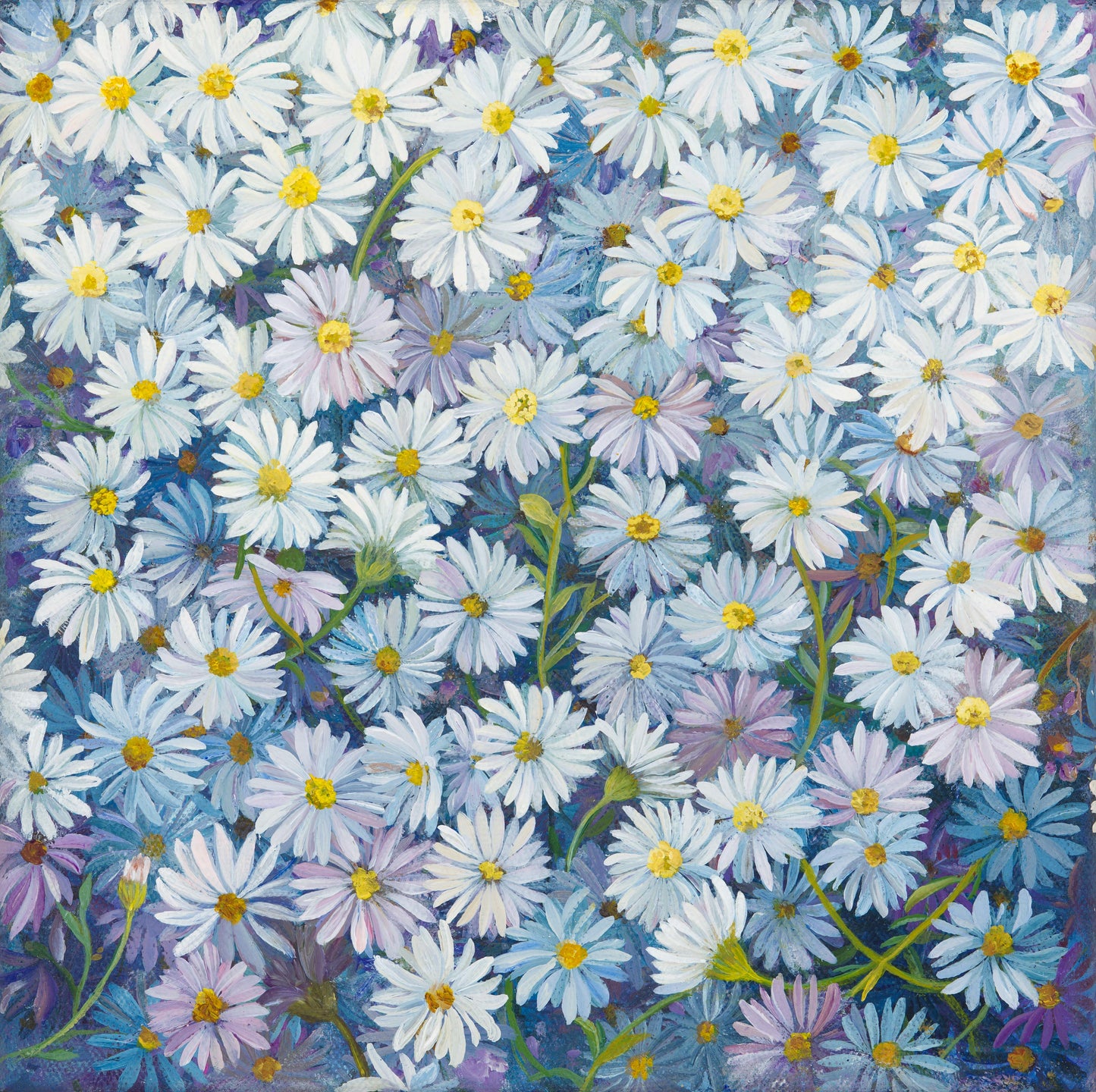 Daisies