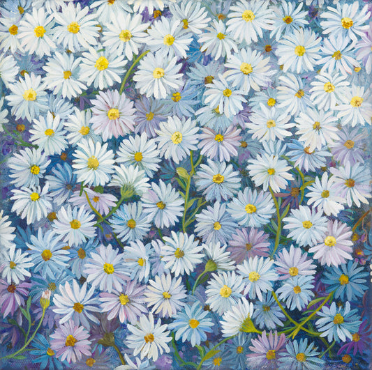 Daisies