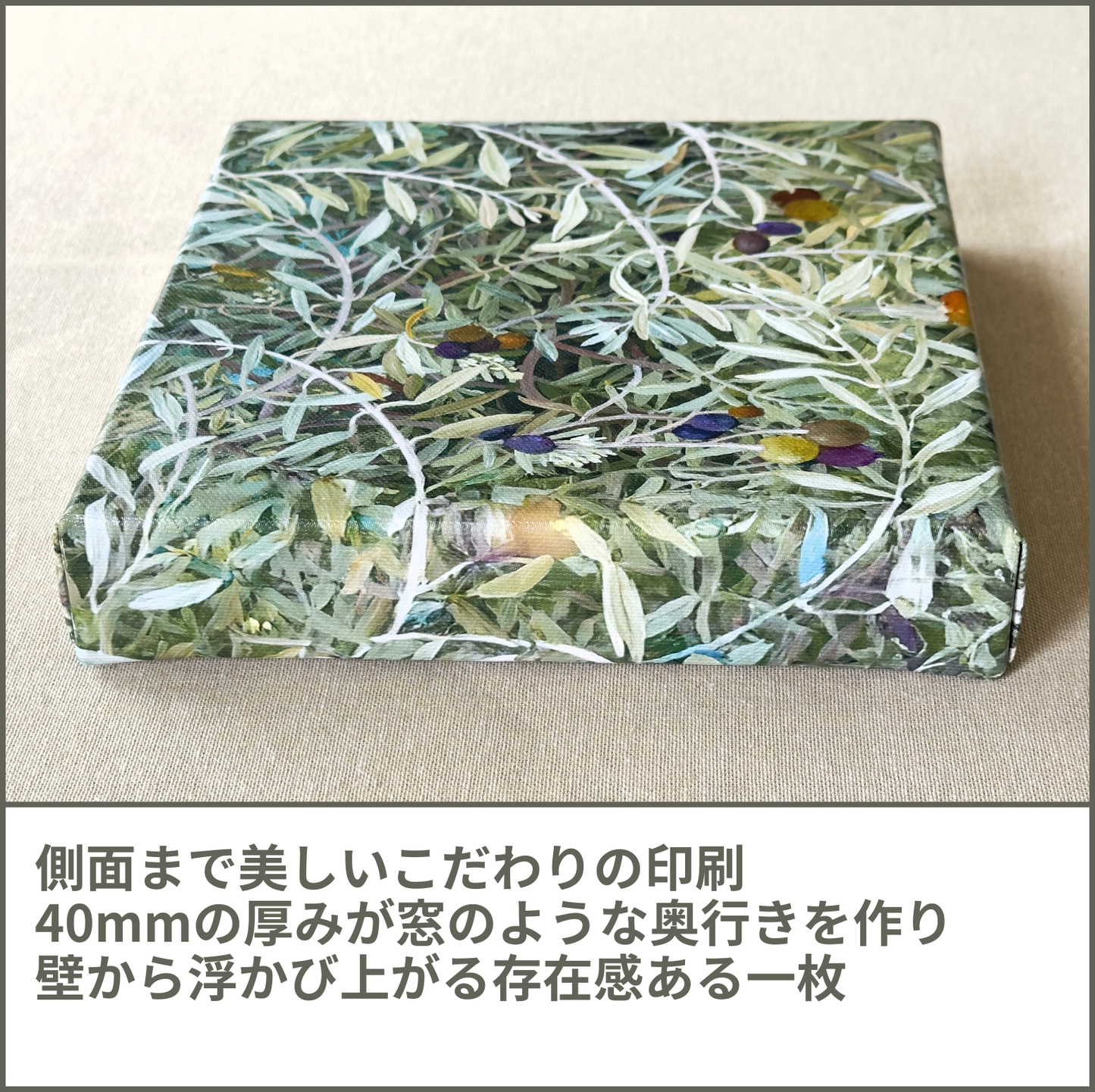 オリーブ (Olives)